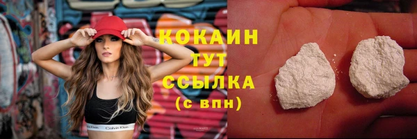 mdpv Богородицк