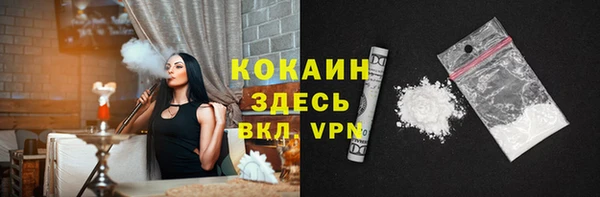 mdpv Богородицк