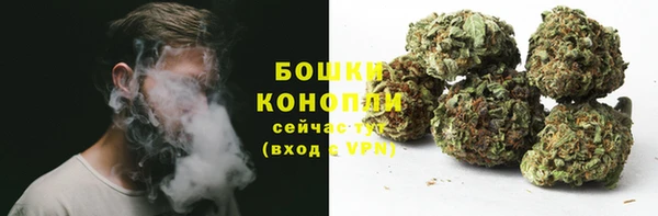 дмт Бронницы