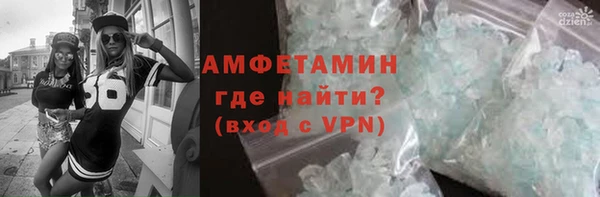 ПСИЛОЦИБИНОВЫЕ ГРИБЫ Богданович