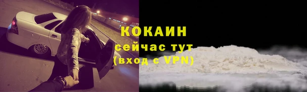 ПСИЛОЦИБИНОВЫЕ ГРИБЫ Богданович