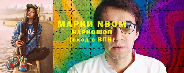 ПСИЛОЦИБИНОВЫЕ ГРИБЫ Богданович