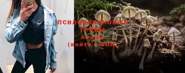 mdma Бородино