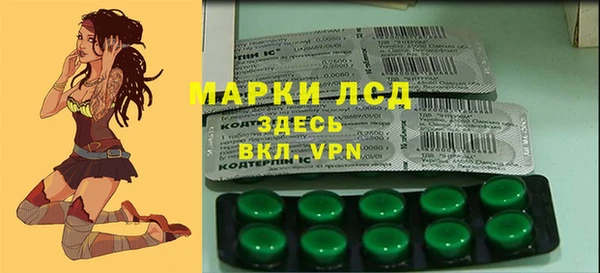 mdpv Богородицк