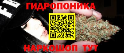 apvp Янаул