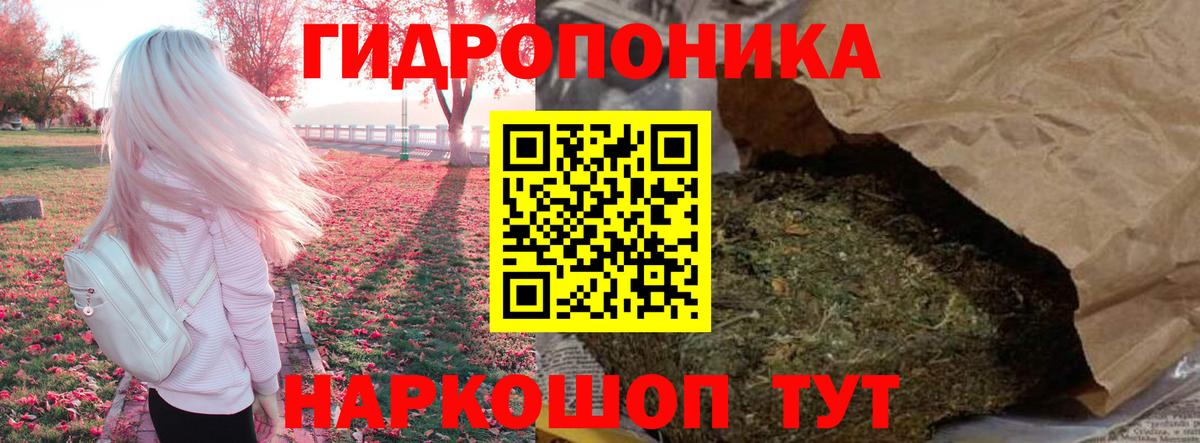 Конопля SATIVA & INDICA Обь